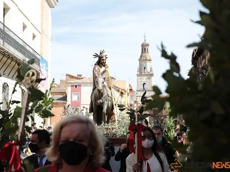 Domingo de Ramos en Toro (17)