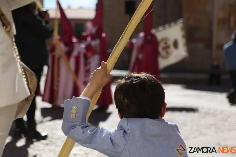 Un niño sujeta su Palma mientras descansa en la procesión de La Borriquita