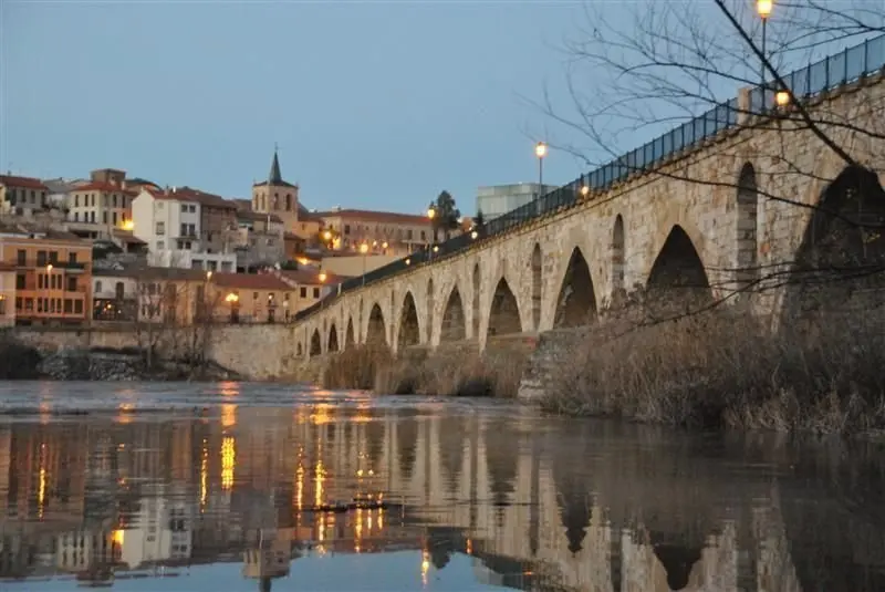 Zamora