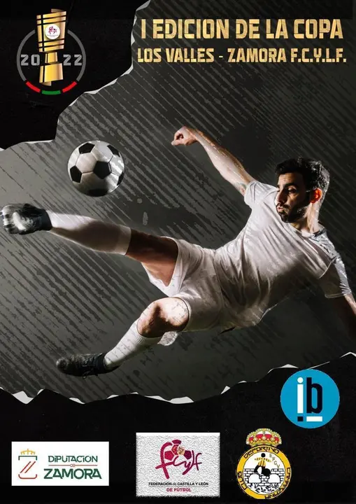 Primera Edición de la Copa