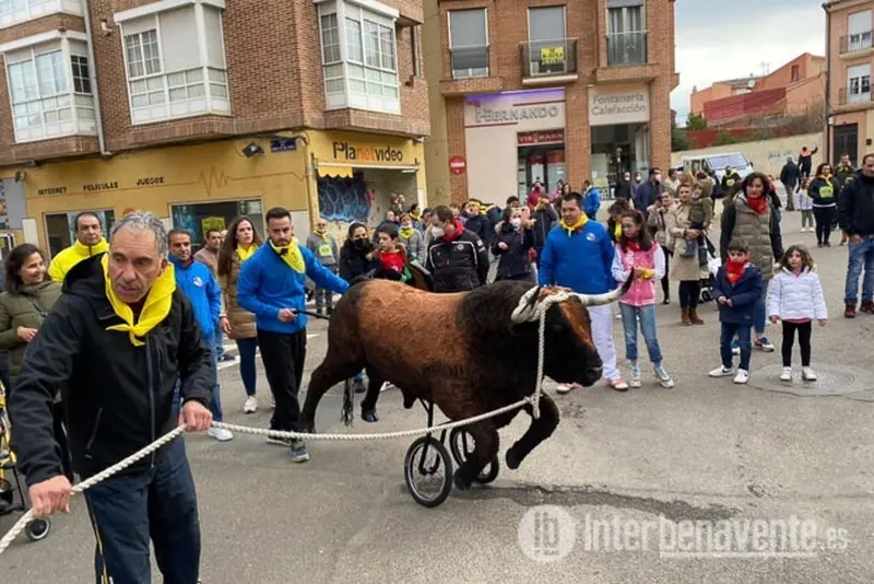 Carrera del Toro Enmaromado en Benavente. Foto Interbeavente