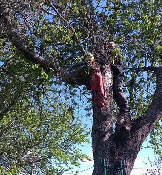 Puesta del mayo en Sanabria