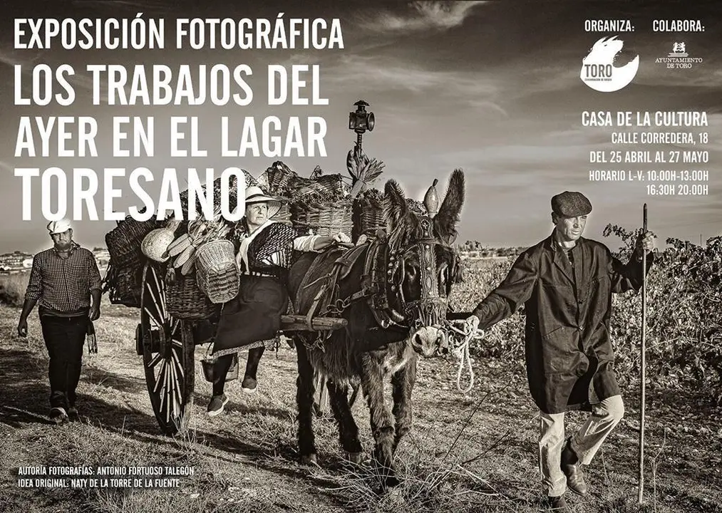 Exposición Toro