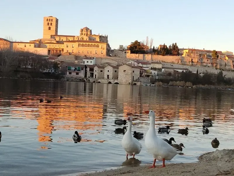 Vista de Zamora