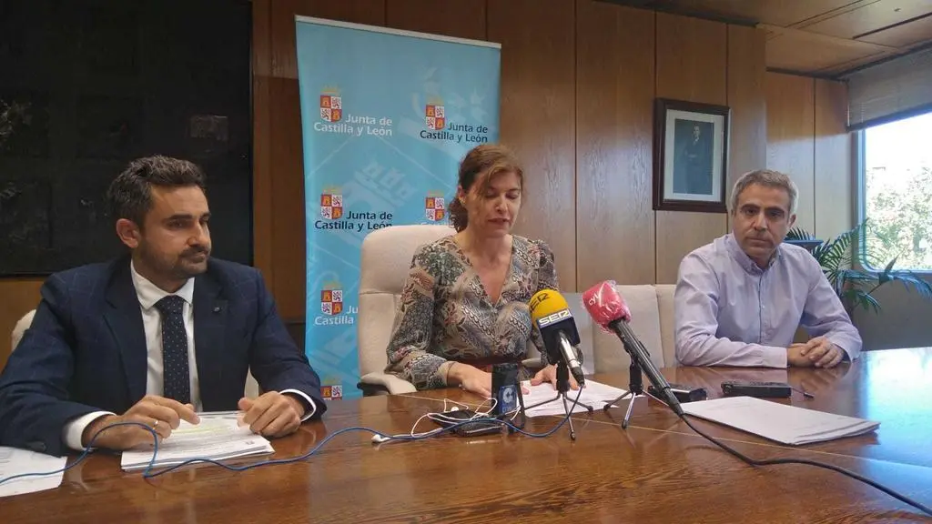 MIR zamora clara san damián