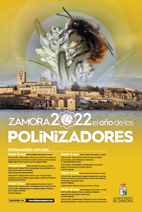 Polinizadores
