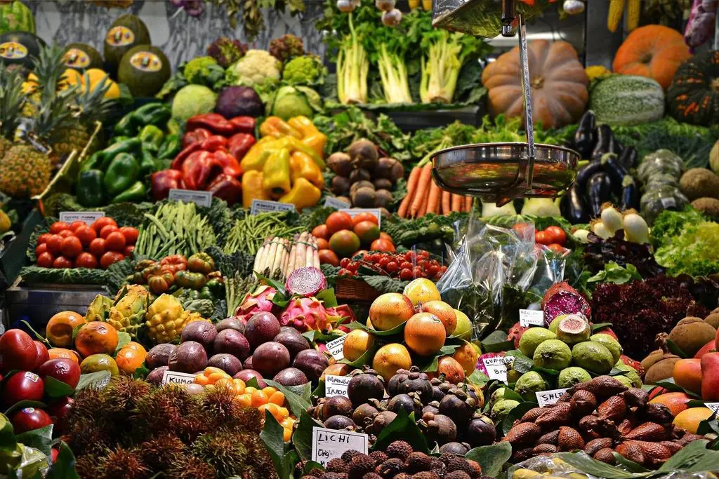 Alimentos saludables