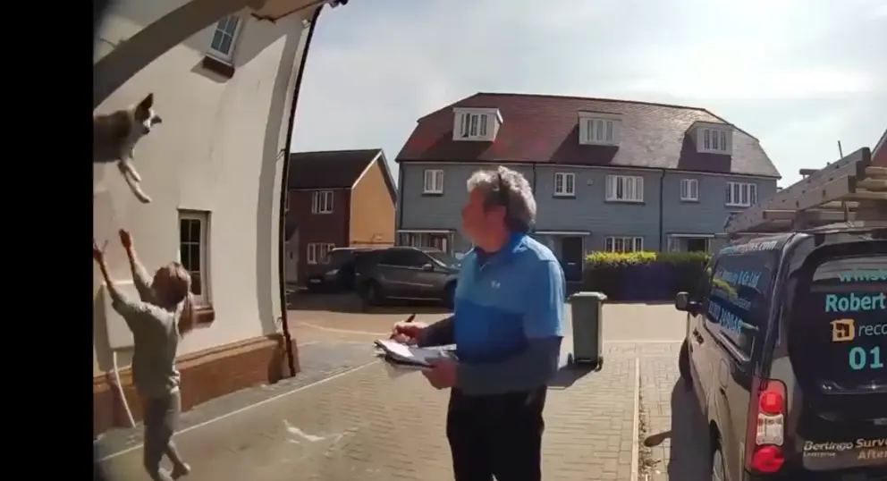 Mujer salva a perro