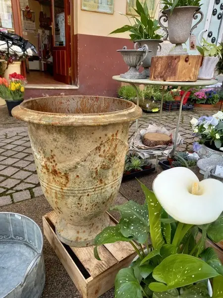 Uno de los establecimientos de Floricultura Castilla. Foto Facebook