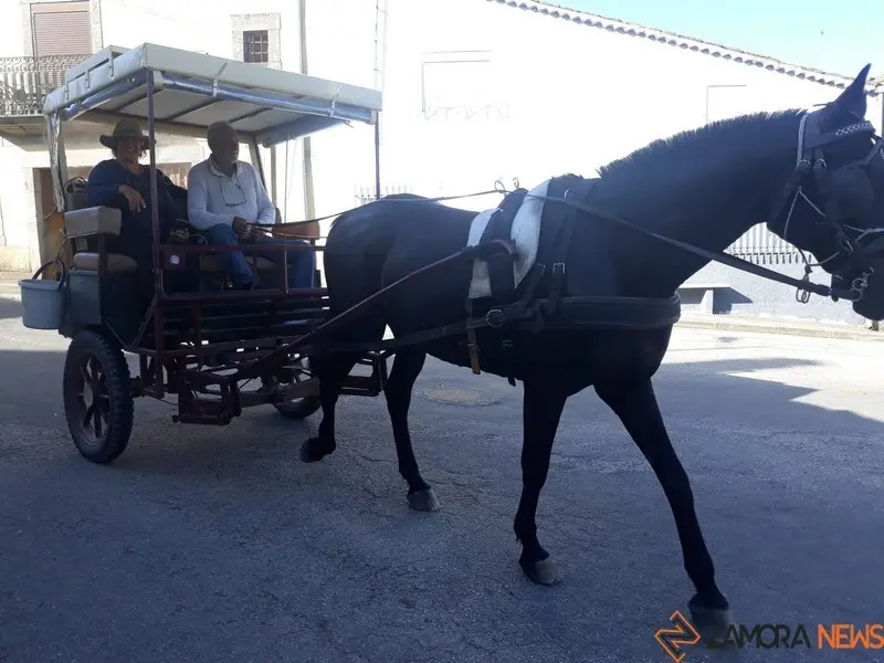 José María y Karmele en la carreta con el caballo