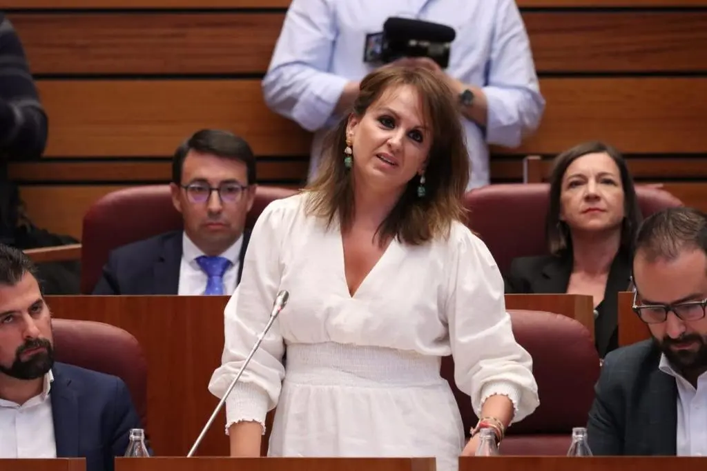 La viceportavoz del Grupo Parlamentario Socialista, Patricia Gómez