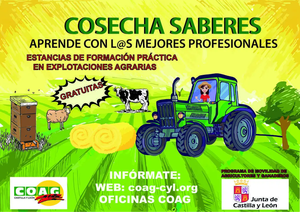CARTEL MOVILIDAD