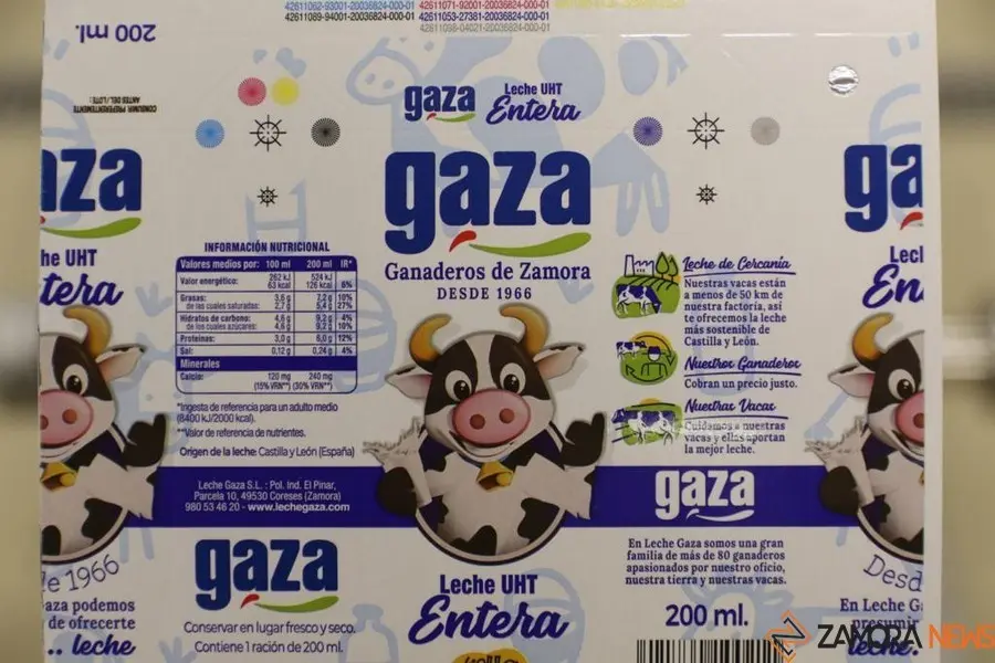 12gaza