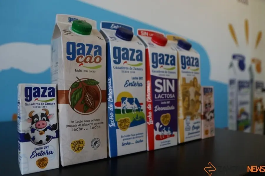 29gaza