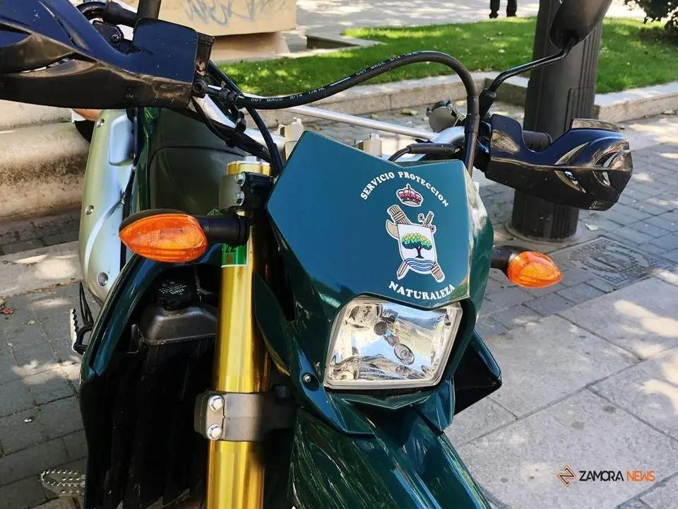 Exposici&oacute;n Fuerzas Armadas (10)