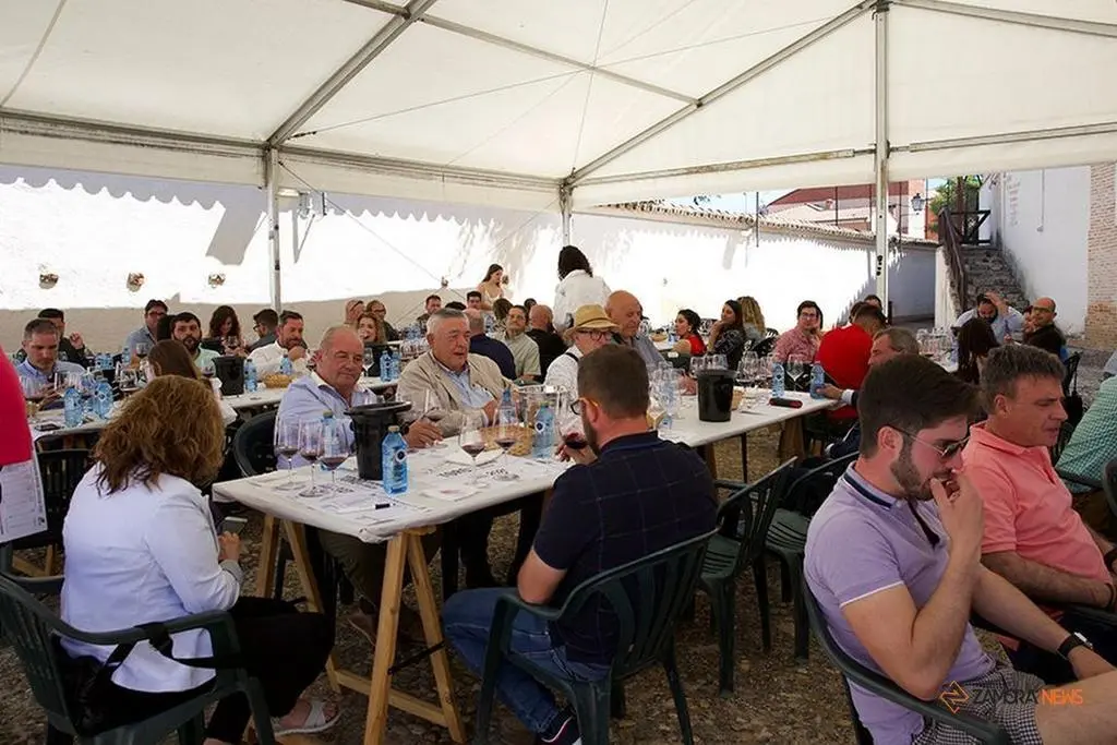 Feria del Vino de Toro (3)