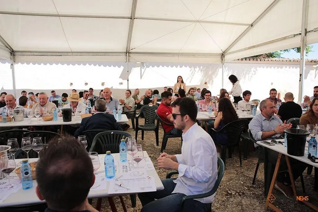 Feria del Vino de Toro (11)
