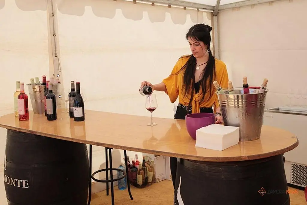 Feria del Vino de Toro (12)