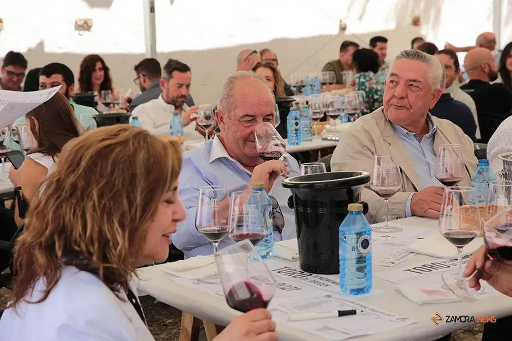 Feria del Vino de Toro (13)