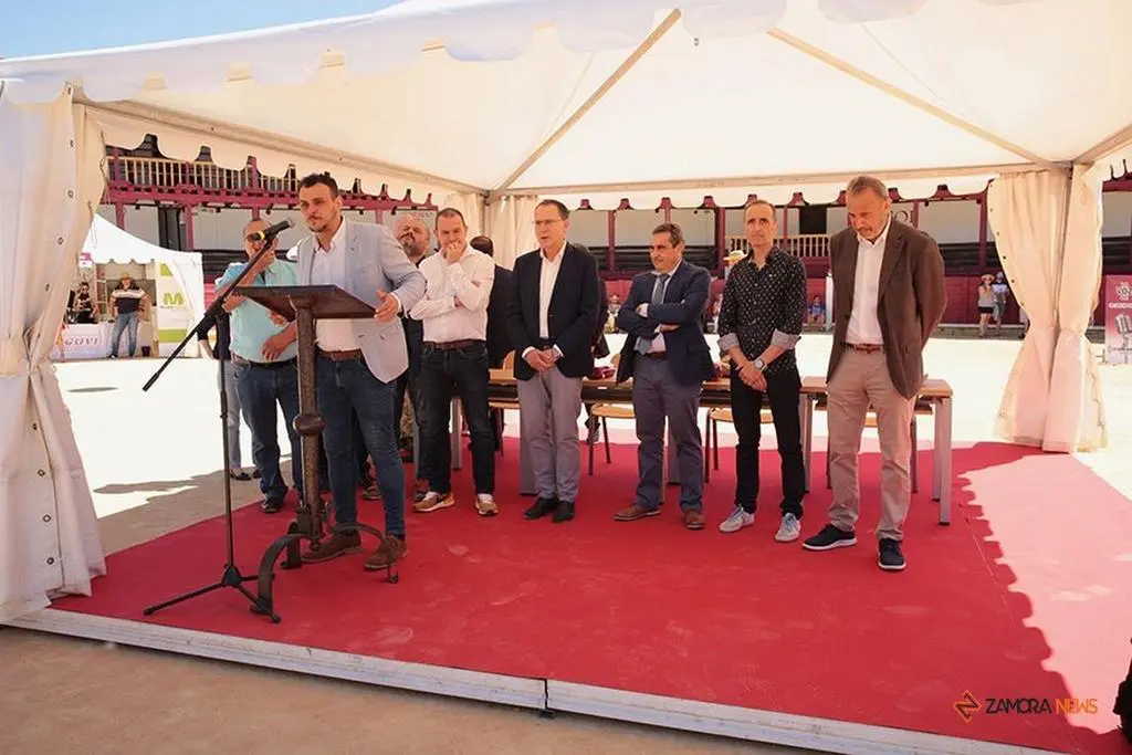 Feria del Vino de Toro (14)