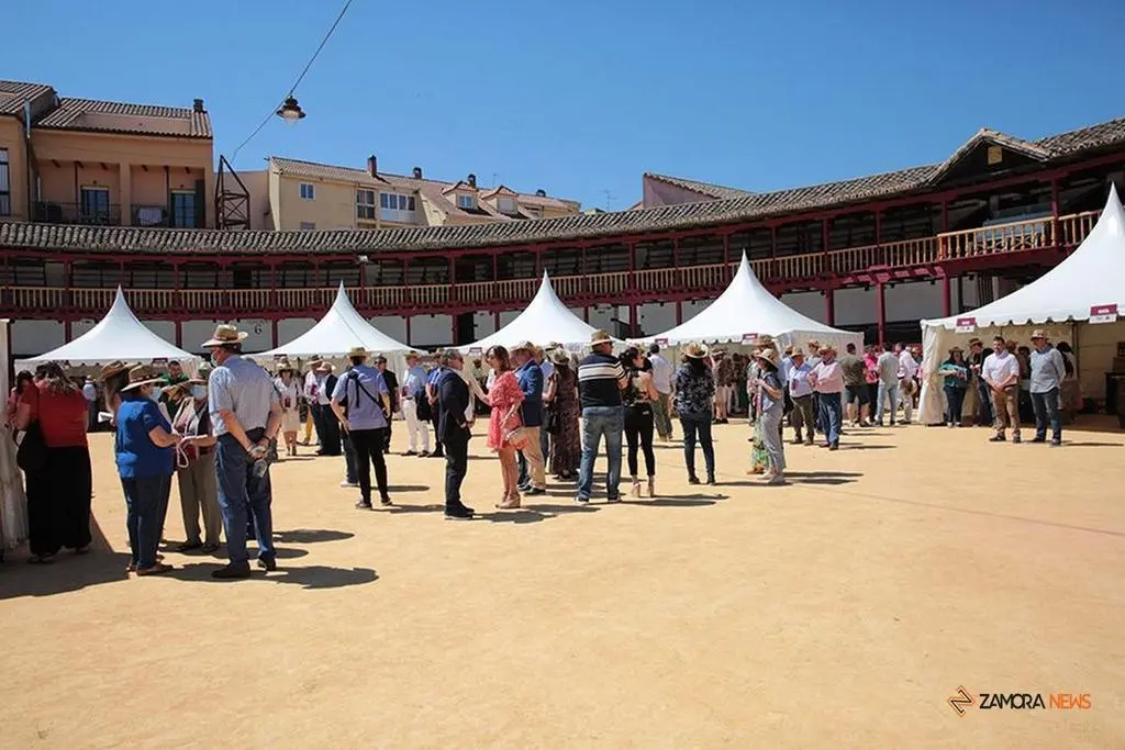 Feria del Vino de Toro (25)
