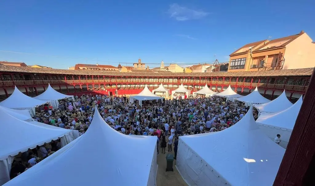 toro feria vino