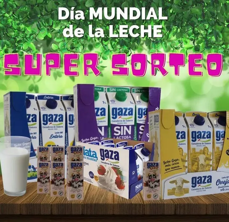 Sorteo leche Gaza