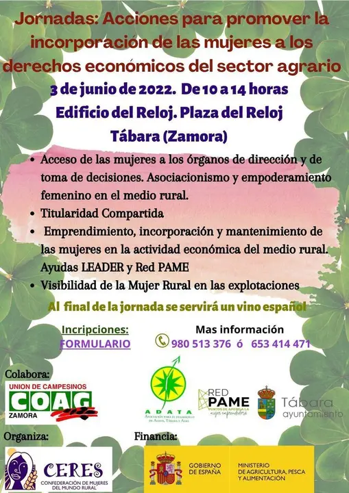 Jornada TC Tábara