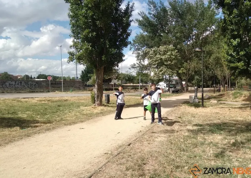 7trilema