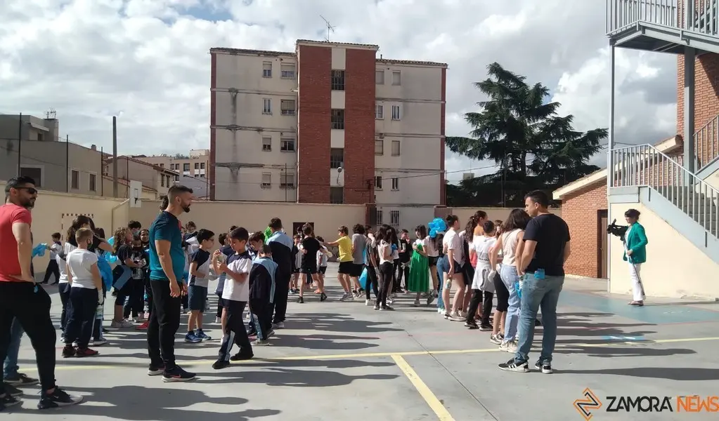 11trilema