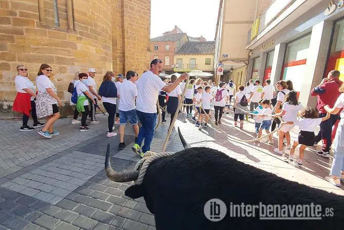 Recorrido de la Maroma en Benavente. Fotografías: Interbenavente.es