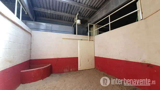 Toril vía Interbenavente.es