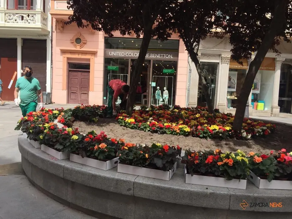 Empleados municipales del Ayuntamiento de Zamora