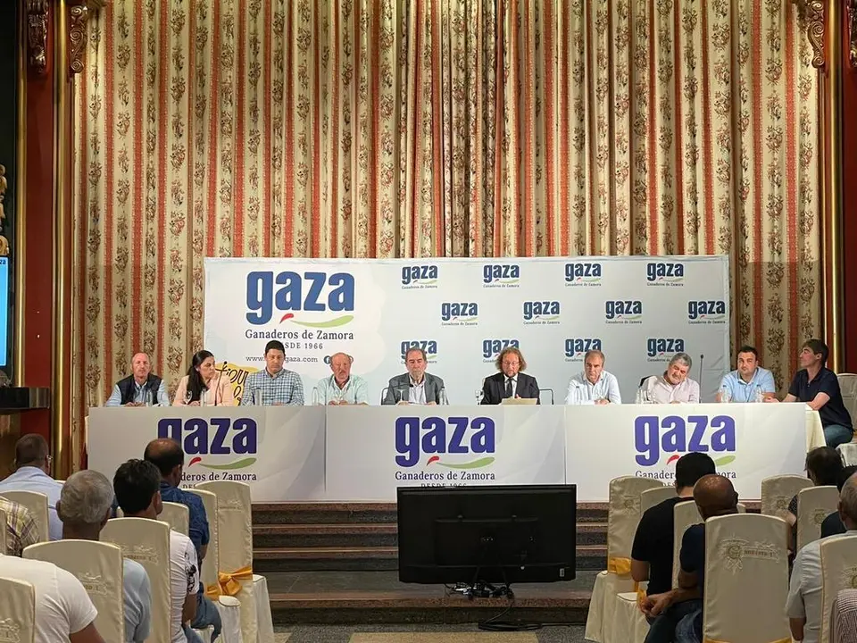 asamblea gaza