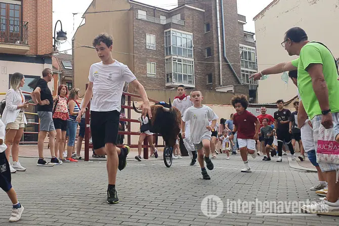 Escuelas Taurinas vía Interbenavente.es