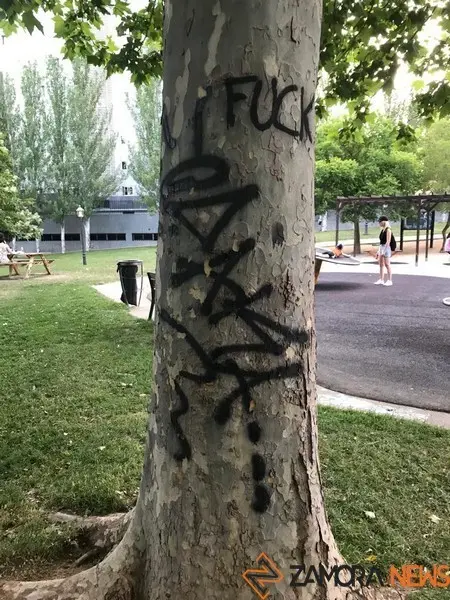 Árboles con pintadas en León Felipe