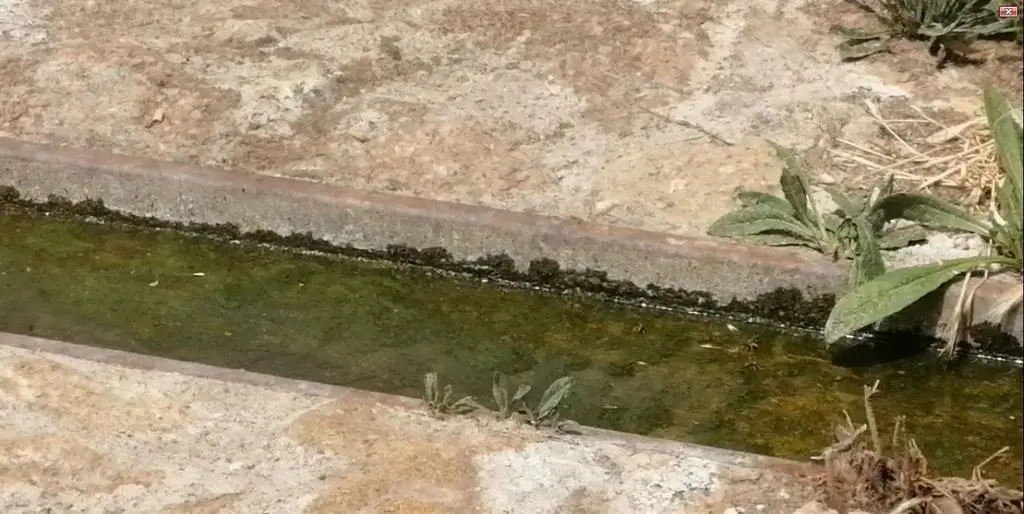 Fuente de los compadres