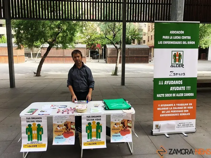 Alcer Zamora