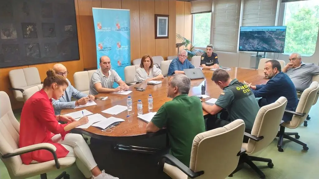 Delegada+-+Operativo+Incendios+Presentación+(1)