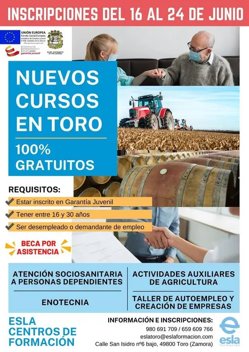Cursos