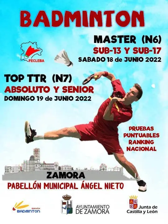 Cartel Badminton