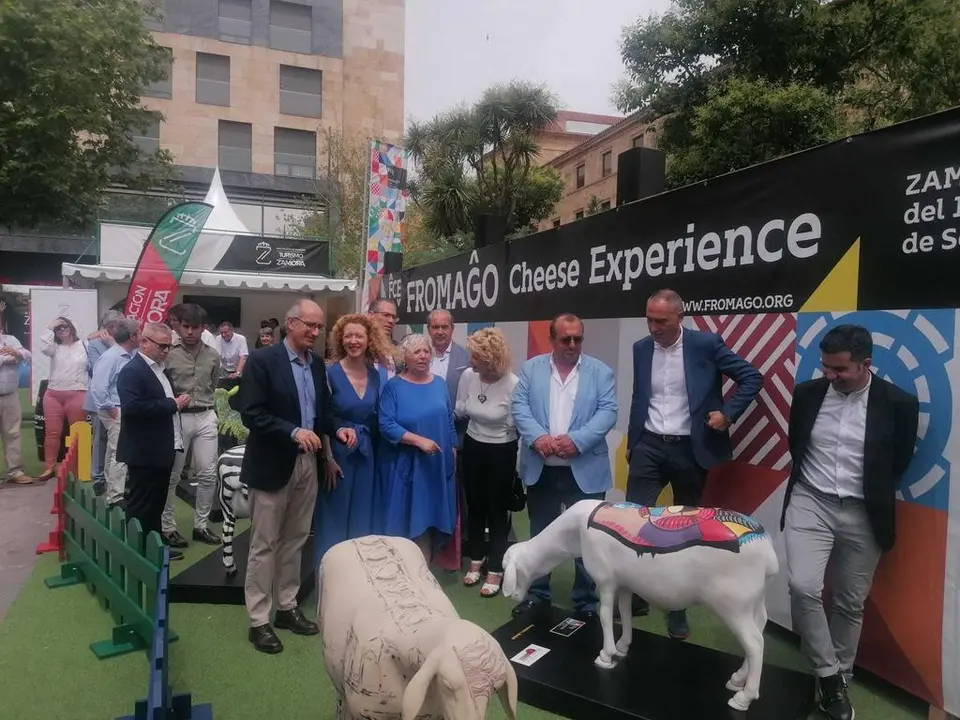 Ovejas fromago en Salamanca