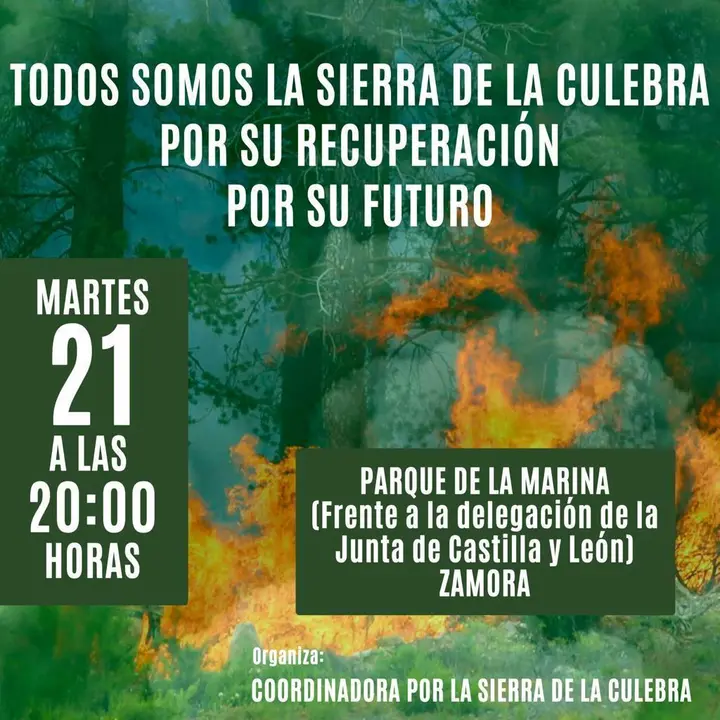 Cartel