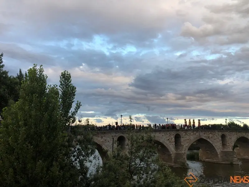 Desfile de peñas (2)