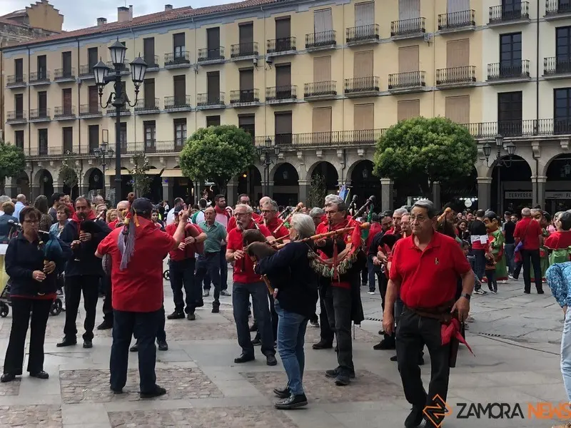Desfile de peñas (18)