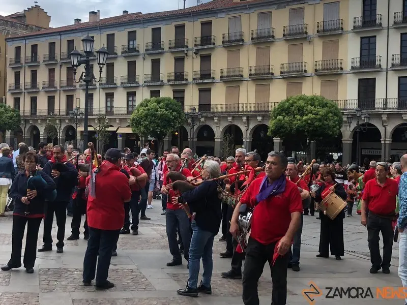 Desfile de peñas (23)