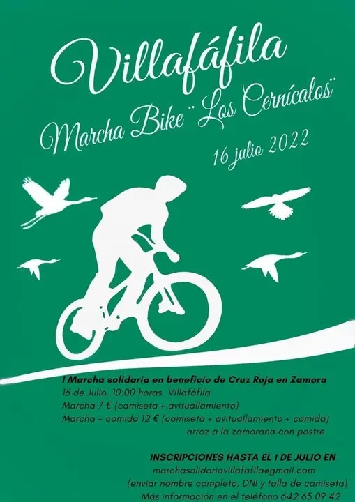 CARTEL MARCHA BIKE LOS CERNICALOS
