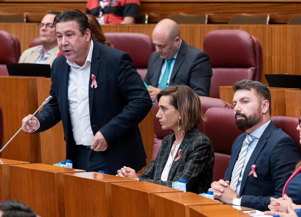 Procurador de Unión del Pueblo Leonés, Luis Mariano Santos