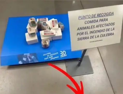 Punto recogida para animales