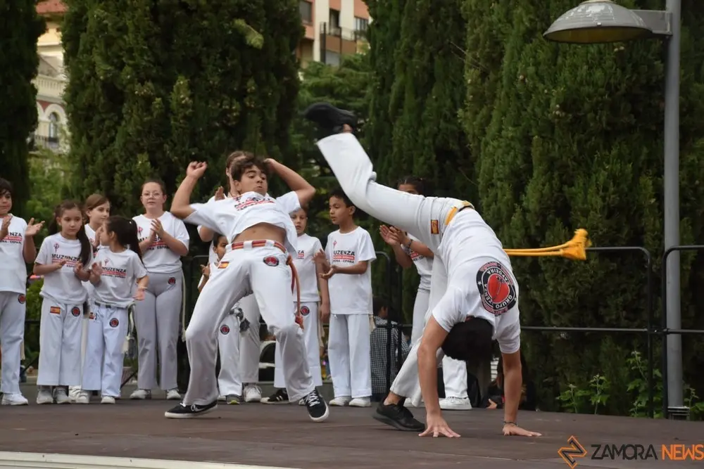 capoeira (9)